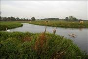 Water ways in the Fens
